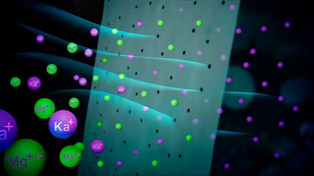 Ein „Ionensieb“ aus dem Material „Polydopamin“ könnte in Zukunft die Herstellung effizienter Filter erlauben, die auch nach chemischen Eigenschaften filtern können.