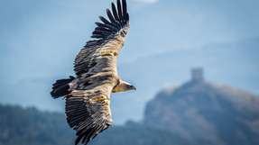 Moderne Mess- und Prüftechnik ist eine wesentliche Voraussetzung dafür, dass Fahrerassistenzsysteme zuverlässig funktionieren und Fahrzeuge effizient und sicher produziert und betrieben werden können. Für das autonome Fahren werden Mess- und Prüfanwendungen weiter an Bedeutung gewinnen und einen entscheidenden Beitrag zum Technologiefortschritt leisten.