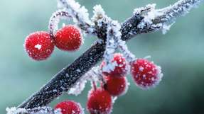 Auf dem Wege des gesamten F-Gas-Transformationsprozesses stellt Mitsubishi Electric seinen Partnern entsprechende Lösungen und Produkte zur Verfügung, mit denen sich Anlagentechnik flexibel und mit unterschiedlichen anwendungsbezogenen Kältemitteln realisieren lassen.