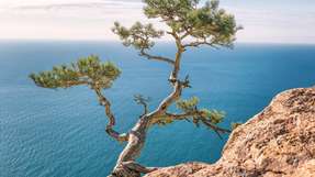 Batterien herzustellen ist immer noch sehr energieaufwendig und belastet die Umwelt. Deshalb müssen die Produktionsprozesse verbessert werden.