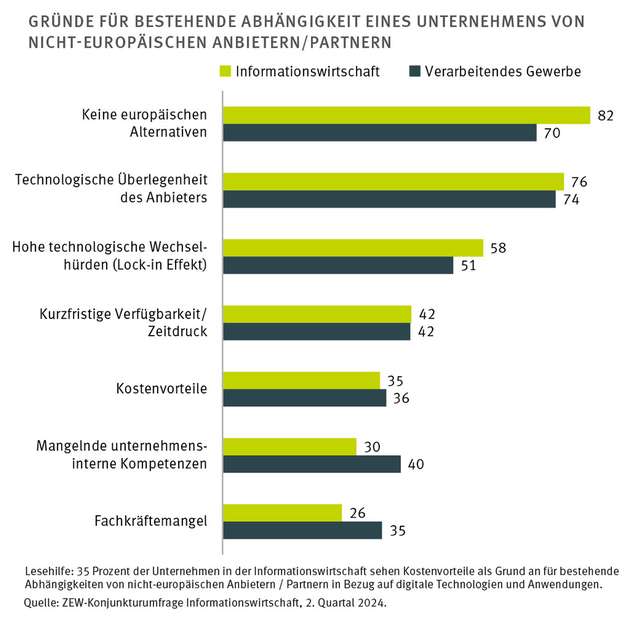 Gründe für bestehende Abhängigkeiten eines Unternehmens von nicht-europäischen Anbietern/Partnern.