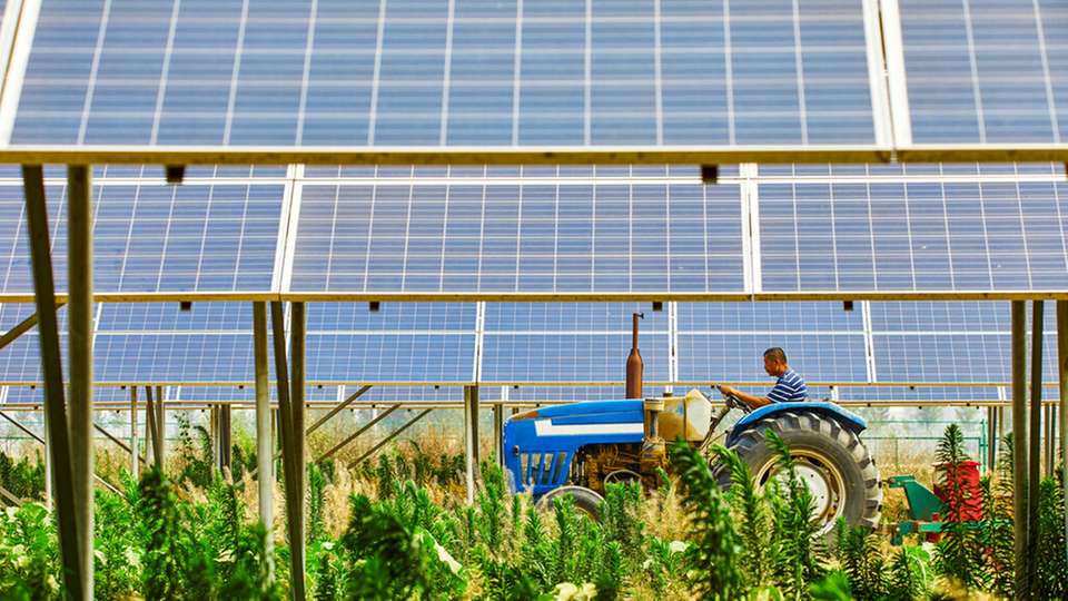 Mit dem Auslaufen der EEG-Förderung gibt es für landwirtschaftliche Betreiber Erneuerbarer-Energie-Anlagen mehrere Handlungsoptionen. Nur welche ist die beste?