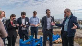 Besichtigung der InBiRa-Insektenbioraffinerie: Als Vertreter der EU- und Landespolitik begutachten Nicolas Gibert-Morin (dritter von links) und Staatssekretär Dr. Andre Baumann (dritter von rechts) die Larvenmast am Fraunhofer IGB.
