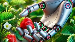Technische Systeme wie Roboter oder andere Maschinen sollen lernen, ähnlich wie eine menschliche Hand „einfühlsam“ zu greifen. Künftige Einsatzmöglichkeiten sind Ernteroboter, die Erdbeeren pflücken, ohne sie zu quetschen, oder autonome Rover, die unbekannte Proben sicher bergen.