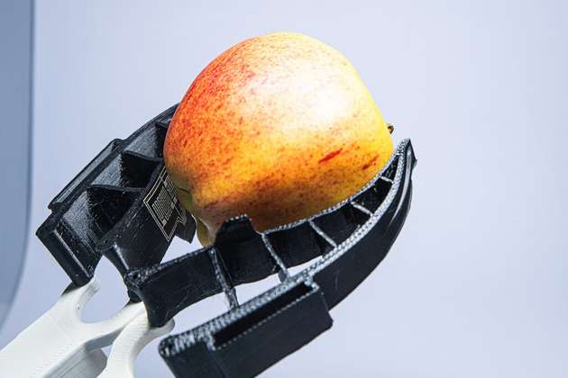 Robotergreifer mit haptischen Fähigkeiten können Äpfel und anderes Obst künftig schonender fassen und sortieren. Dabei passt sich der im Projekt BioGrip entwickelte Greifer der Apfelform an.