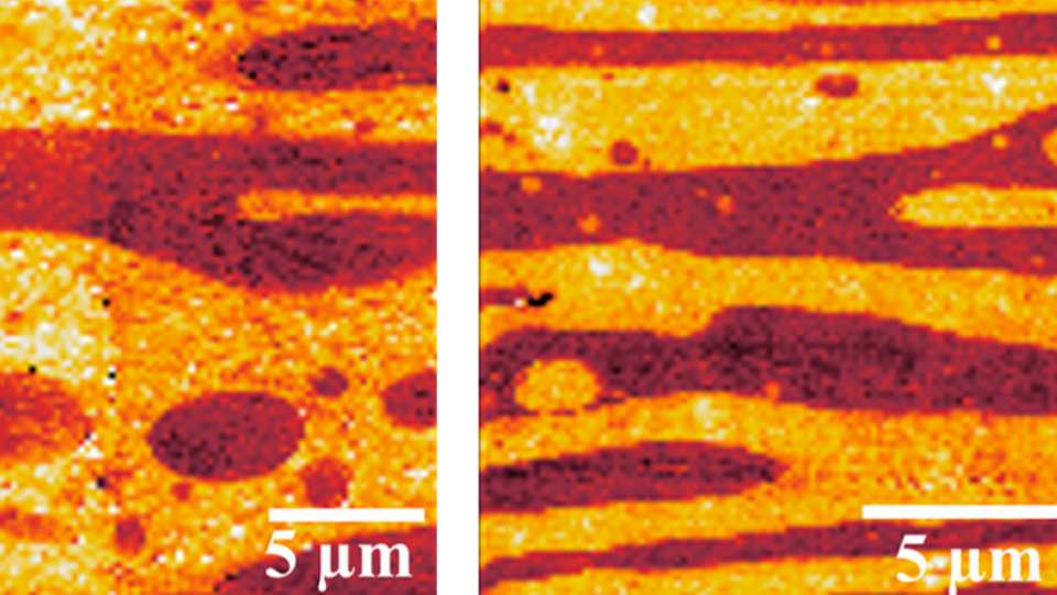Vermischung von Thermokunststoffen: In der Nano-IR-Bildgebung sind die Schichtstrukturen der reinen PVDF/PLLA-Mischung (links) und mit dem SAD-Zusatz (rechts) deutlich unterscheidbar.