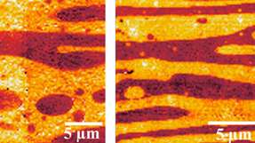 Vermischung von Thermokunststoffen: In der Nano-IR-Bildgebung sind die Schichtstrukturen der reinen PVDF/PLLA-Mischung (links) und mit dem SAD-Zusatz (rechts) deutlich unterscheidbar.
