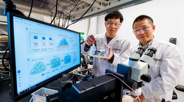 Forscher im Labor von Sihong Wang (rechts), Assistenzprofessor an der UChicago Pritzker School of Engineering, und der Doktorandin Yahao Dai (links) haben ein Hydrogel entwickelt, das die Halbleitereigenschaften beibehält, die für die Übertragung von Informationen zwischen lebendem Gewebe und Maschinen erforderlich sind, und das sowohl für implantierbare medizinische Geräte als auch für nicht-chirurgische Anwendungen verwendet werden kann.