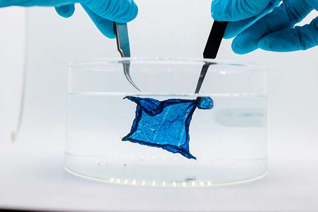 Das neu entwickelte Material – Halbleiter und Hydrogel zugleich – erfüllt alle Voraussetzungen für eine ideale bioelektronische Schnittstelle.