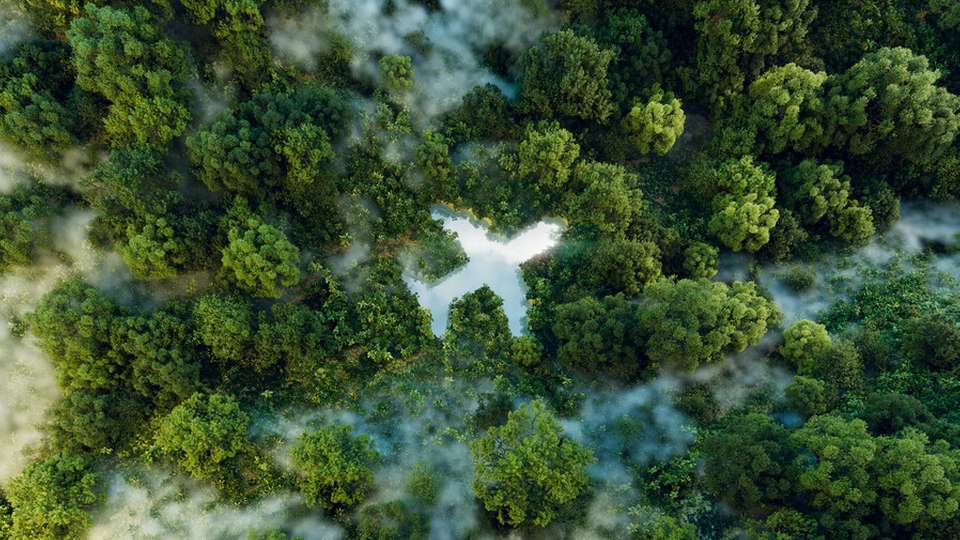 Flugzeuge sollen künftig mit Wasserstoff um die Welt fliegen.