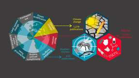 Die wissenschaftlichen Erkenntnisse über die Auswirkungen von Plastik auf die drei planetaren Krisen Klimawandel, Biodiversitätsverlust und Umweltverschmutzung sind bisher unvollständig und ungleich verteilt.