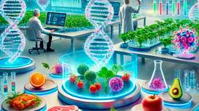 Der Schwerpunkt liegt auf der Verknüpfung traditioneller Lebensmittelproduktionstechniken wie der Fermentation, bei der Mikroorganismen wie Hefe und Milchsäurebakterien eingesetzt werden, mit Entwicklungen in der Biotechnologie, um neues Wissen zu generieren und neue Lösungen für die Herausforderungen in Bezug auf Gesundheit und Nachhaltigkeit unseres Lebensmittelsystems zu finden.