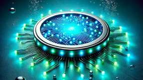 Der zelluläre Biosensor kombiniert Elemente aus prokaryotischen (ohne Zellkern) und eukaryotischen Zellen (mit Zellkern) und nutzt spezifische biologische Mechanismen zur Detektion.