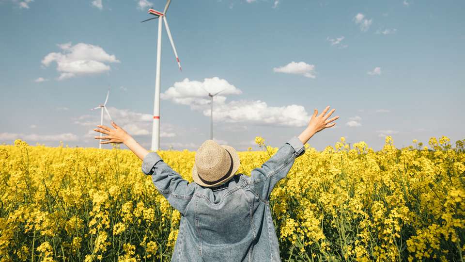 Erneuerbare decken 2024 gut 55 Prozent des Stromverbrauchs und kacken damit einen neuen Rekordwert, wie aktuelle Berechnungen von ZSW und BDEW zeigen.