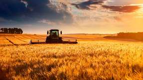 Künstliche Intelligenz in der Landwirtschaft hat ein riesiges Potenzial, wenn es darum geht, die Ernährungslage zu verbessern und die Umweltbelastung zu reduzieren. Syslogic ebnet mit ihren KI-fähigen Edge-Computern den Weg für künftige Anwendungen.