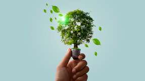Hendrik Kahmann, Head of Innovation bei Axians Deutschland, identifiziert folgende Schlüsselthemen für 2025: Green IT, Breitbandausbau und mehr.