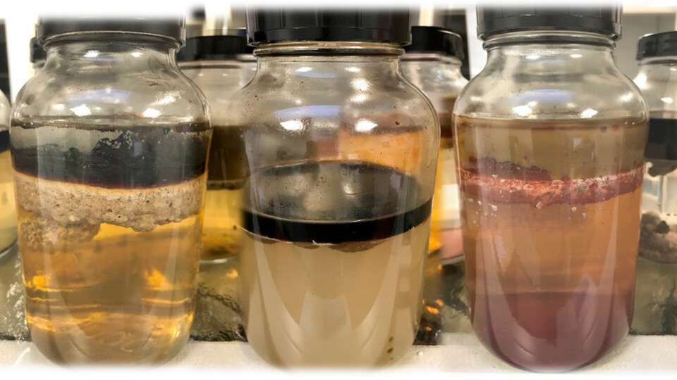 Trennung leicht gemacht: Die Unterschiede zwischen Bekosplit und QWIK-Pure