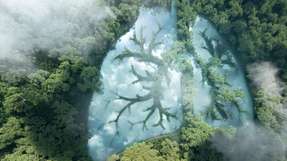 CO2 ist der Hauptverursacher der globalen Erwärmung. Bei der Elektrokatalyse werden durch Anlegen einer elektrischen Spannung an den Katalysator Elektronen durch das Material geleitet, die mit CO2 und Wasser zu wertvollen Verbindungen reagieren.