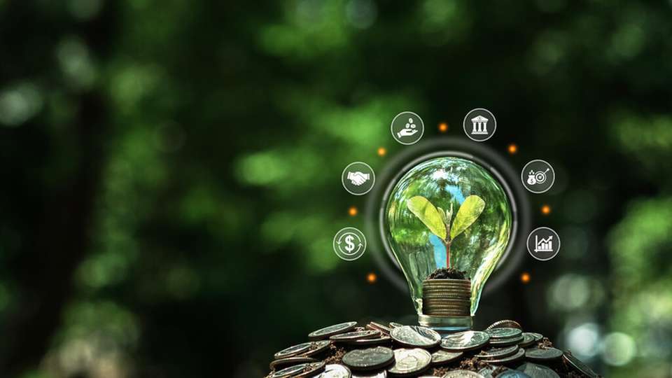 Eine LCA-Studie bestätigt die signifikanten Einsparpotenziale im Vergleich zum konventionellen Flexodruck.