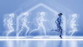 Die Simulationsmodelle beruhen nahezu alle auf realen Daten.