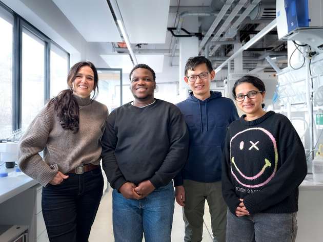 Die Autorinnen und Autoren der Studie im Labor am ISTA. Professorin Maria Ibáñez, Abayomi Lawal, Erstautor Shengduo Xu und Sharona Horta.