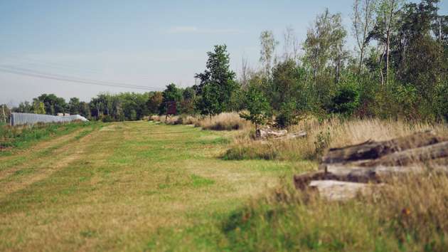 Die Renaturierung des ehemaligen Braunkohletagebaus in Verbindung mit der Planung des Solarparks war ebenfalls ein wichtiger Aspekt bei der Realisierung des Projekts.