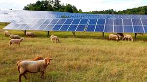 Greening baut eine 17 MWp Photovoltaikanlage für Uniper in Deutschland. Das Projekt integriert ökologische Maßnahmen wie Schafbeweidung und unterstützt die Pflege von Grünflächen.