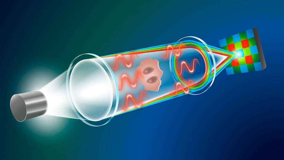 Physikalische Grundlagen des neuen QPI-Verfahrens: Der Lichtweg durch das Mikroskop geht von der Lichtquelle (links) über den Kondensor, die Probe und das Objektiv bis hin zum Detektor.