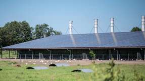 Big Dutchman stattet Solaranlagen für Landwirtschaftsbetriebe mit Helukabel-Verbindungstechnik aus.