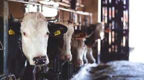 Moderne Messtechnik sorgt für höchste Präzision und Sicherheit in der Milchpulverproduktion.