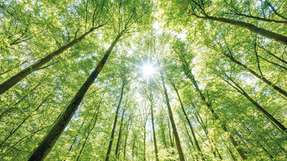 Die Industrie steht unter Druck: Gesetzliche Vorgaben, wirtschaftlicher Wettbewerb und gesellschaftliche Erwartungen fordern eine schnelle Dekarbonisierung. Doch besonders für mittelständische Unternehmen ist der Weg zur klimafreundlichen Produktion komplex.