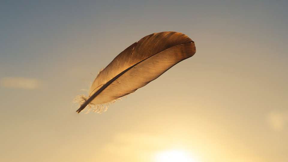 Energie effizient nutzen, Ressourcen schonen und CO2-Emissionen senken – ohne eigenes Personal und Investitionsaufwand: Contracting bietet Unternehmen einen pragmatischen Weg zur nachhaltigen Energieversorgung.