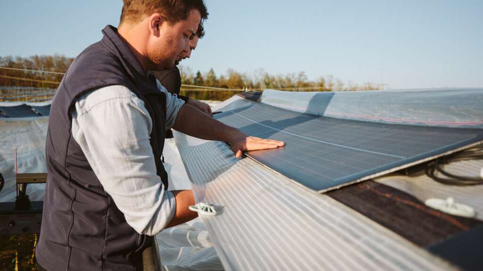 Das Fraunhofer ISE und VOEN Vöhringer haben PV-Module entwickelt, die leicht genug sind, um auf klassischen Witterungsschutzsystemen für Sonderkulturen aufgebracht zu werden.