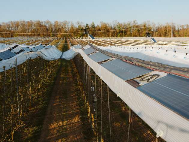 Doppelte Nutzung mit System: Fraunhofer ISE und VOEN testen neue Agri-Photovoltaik.