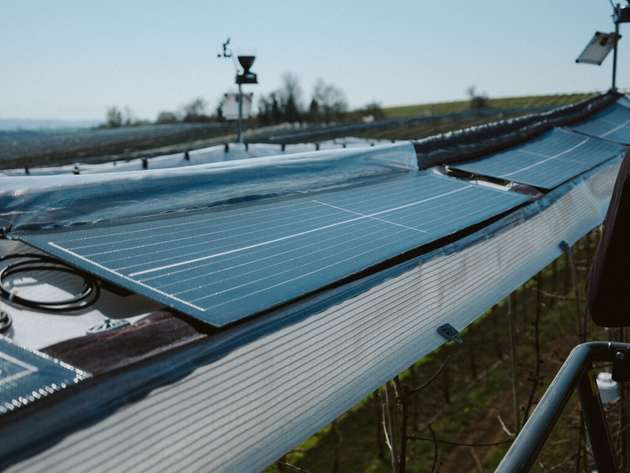 Flexible Agri-PV-Lösung für den Obstbau: Das Projektteam testet die Integration von Photovoltaik in bestehende Schutzkonstruktionen – ohne den Kulturschutz zu beeinträchtigen.