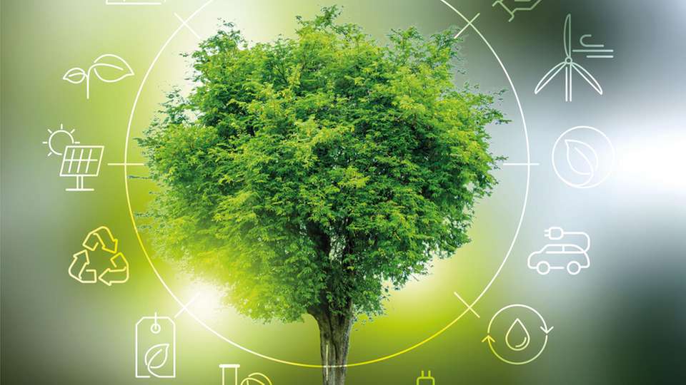 Mit welchen innovativen Highlights wollen Sie die Fachbesucher auf der The smarter E überraschen?