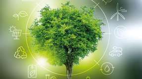 Mit welchen innovativen Highlights wollen Sie die Fachbesucher auf der The smarter E überraschen?