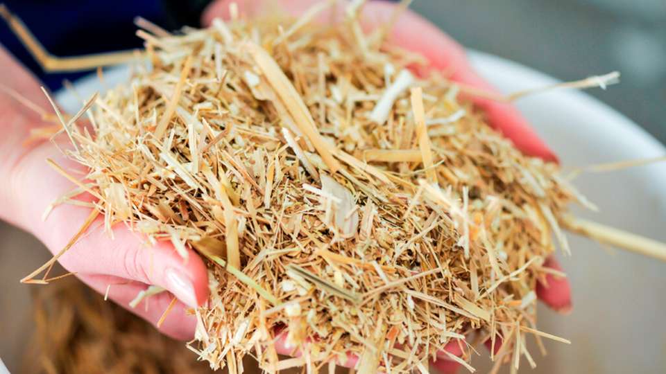 Landwirtschaftliche Nebenströme gezielt und gewinnbringend nutzen: Zwei unter Leitung der Universität Hohenheim entwickelte Werkzeuge helfen, unausgeschöpftes Potenzial zu erschließen.