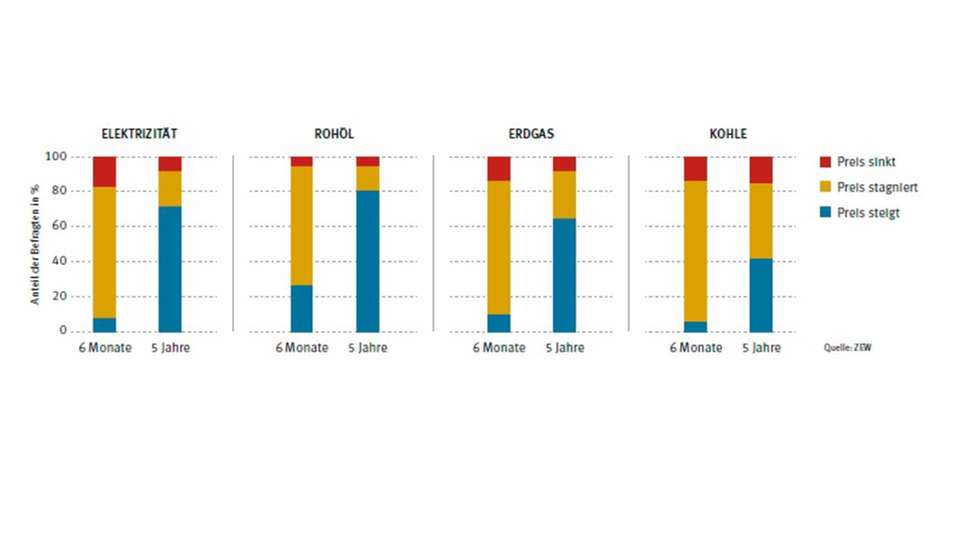 Preise derzeit stabil: Im nächsten Halbjahr soll sich wenig ändern, mittelfristig erwarten die Experten wieder steigende Energiepreise