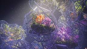  Gewächshäuser bieten eine kontrollierbare Umgebung, die durch technologische Fortschritte wie das Industrial Internet of Things (IIoT) noch effizienter gestaltet werden kann.