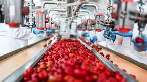 Im Food & Beverage-Fokusblock auf der INDUSTRY.forward EXPO erfahren Sie, mehr über Lösungen für die Lebensmittelindustrie.