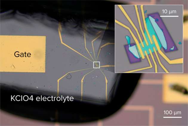 Ein Foto des Feldeffekttransistors. Der türkisfarbene Bereich in der Mitte des Bildes ist eine Molybdändisulfid-Flocke, die ein Supraleiter, Metall, Halbleiter oder Isolator sein kann.