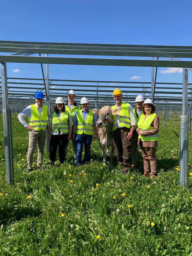 Von links nach rechts: Frank Brinkmann, Werkleiter Nestlé Werk Biessenhofen / Lorena Keppler, Umweltingenieurin Nestlé Werk Biessenhofen / Clemens Teyen, Leiter Umwelt- und Energiemanagement Nestlé Werk Biessenhofen / Jörg Schmitt, Environment & Sustainability Manager Standorte Nestlé Deutschland / Gerhard Metz, Landwirt, mit Kuh Marvella / Wolfgang Eurisch, Erster Bürgermeister Biessenhofen / Maria Rita Zinnecker, Landrätin des Landkreises Ostallgäu