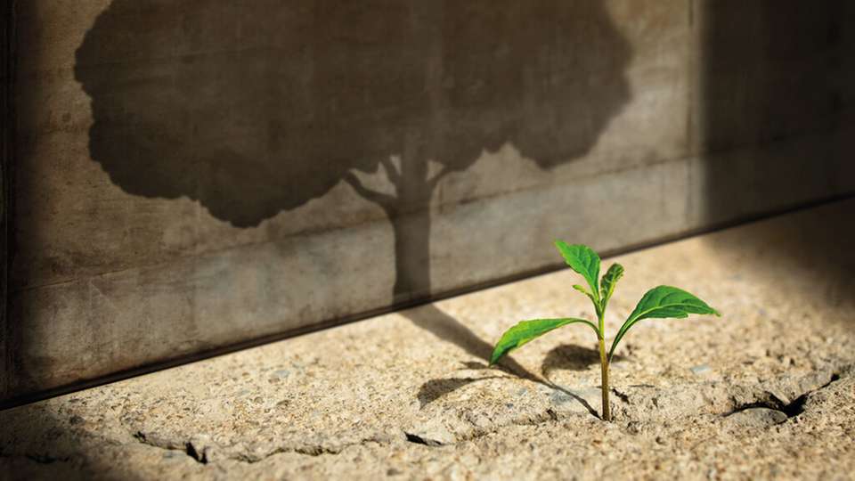 Die Anforderungen an moderne Steckverbinder steigen stetig – neue Materialien, modulare Konzepte und Standards wie Single Pair Ethernet treiben Innovationen voran und verändern den Markt.