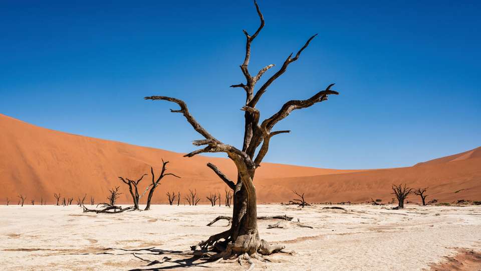 Verbindungstechnologie muss auch in den Tiefen des Wassers, bei arktischer Kälte, unter intensiver Strahlung oder bei kontinuierlichem mechanischem Stress funktionieren. Lapp begegnet diesen Herausforderungen nicht mit Standardlösungen, sondern mit speziell entwickelten Technologien, die exakt auf die jeweiligen Extremszenarien abgestimmt sind.