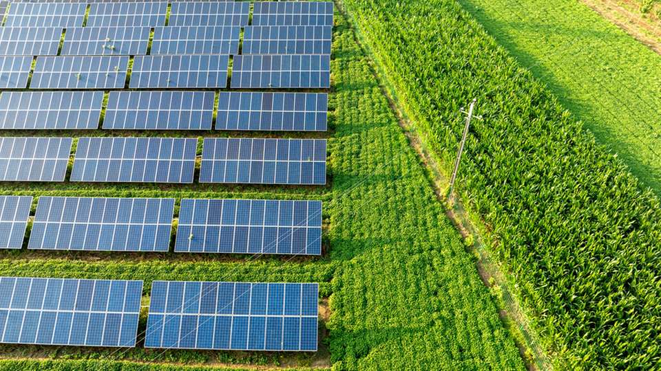 Die Photovoltaikbranche in Deutschland steht trotz hoher Nachfrage unter Druck. Während sie einst von festen Einspeisevergütungen beflügelt wurde, kämpfen Projektentwickler heute mit langwierigen Genehmigungsverfahren und unübersichtlichen Ausschreibungsregeln.