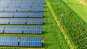 Die Photovoltaikbranche in Deutschland steht trotz hoher Nachfrage unter Druck. Während sie einst von festen Einspeisevergütungen beflügelt wurde, kämpfen Projektentwickler heute mit langwierigen Genehmigungsverfahren und unübersichtlichen Ausschreibungsregeln.