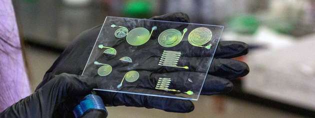 Alicia Ng, Doktorandin der Materialwissenschaften und des Ingenieurwesens, hält eine Reihe verschiedener Strukturen hoch, die aus einem neuen, 3D-gedruckten Material hergestellt wurden, das seine Farbe ändert, wenn es gedehnt wird.
