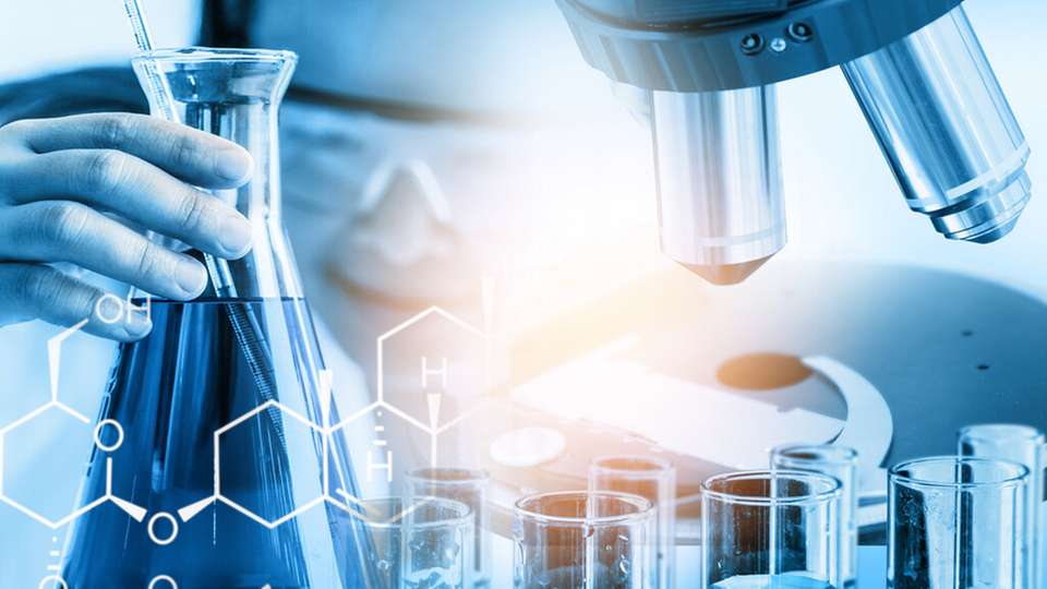 Das Median-Gesamteinkommen in der Chemie- und Pharmabranche lag 2024 bei rund 137.000 Euro. Während die Fixgehälter um 3,6  Prozent zulegten, sanken Bonuszahlungen erneut stark – in Großunternehmen um über 55  Prozent. Die Einkommensschere zwischen kleinen und großen Unternehmen schließt sich weiter.