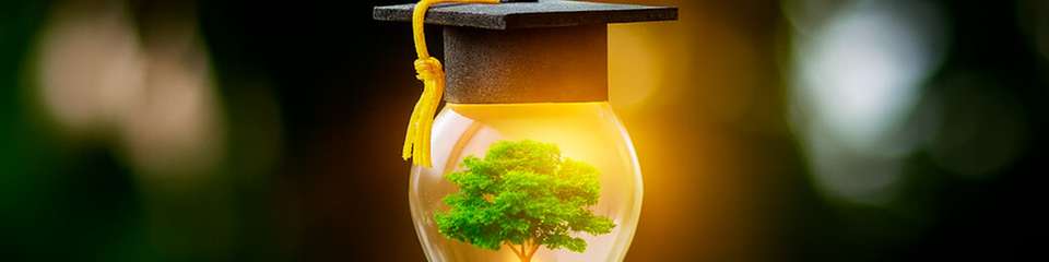 Sonnenenergie für Bildung: Universitäten in Baden-Württemberg setzen auf Grünstrom und sichern sich eine CO2-arme Zukunft.